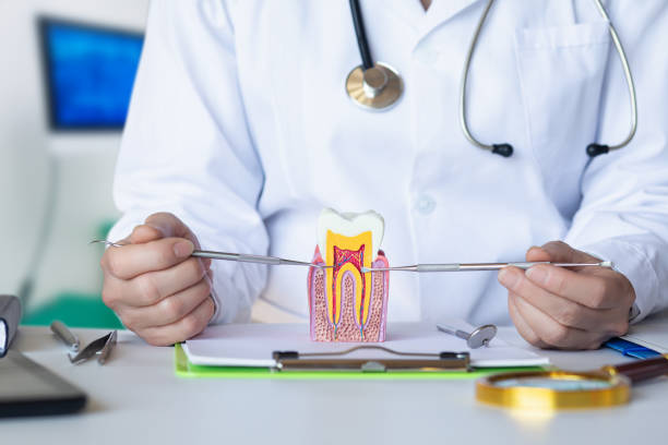 Best Emergency Orthodontic Repairs in Marquette Heights, IL